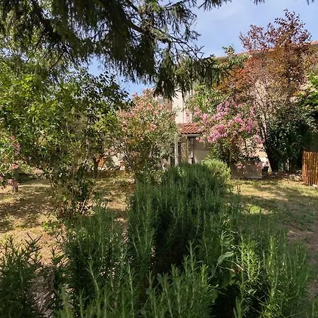 Hébergement de vacances Maison Cévenole, Terasse Et Jardin *