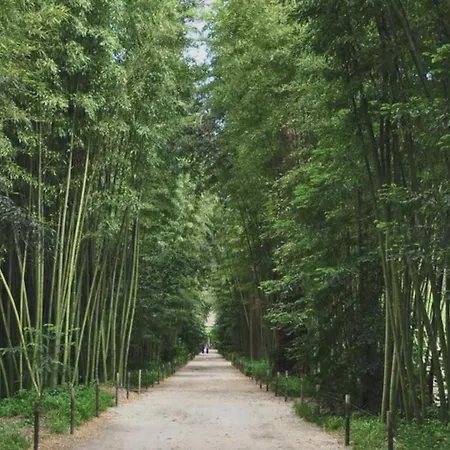 Maison Cévenole, Terasse Et Jardin * Saint-Julien-de-Cassagnas