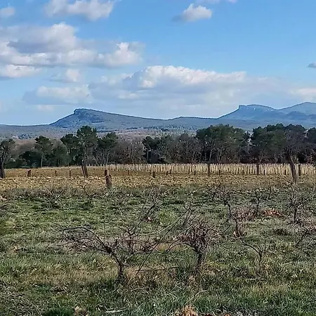 Maison Cévenole, Terasse Et Jardin Hébergement de vacances
